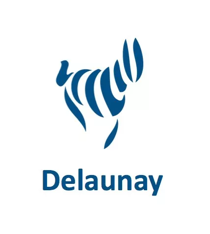 logo Delaunay essuyage